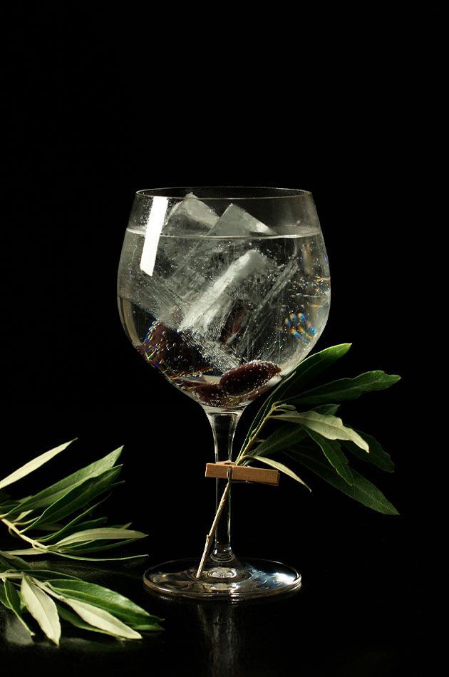 cata gin tonic madrid