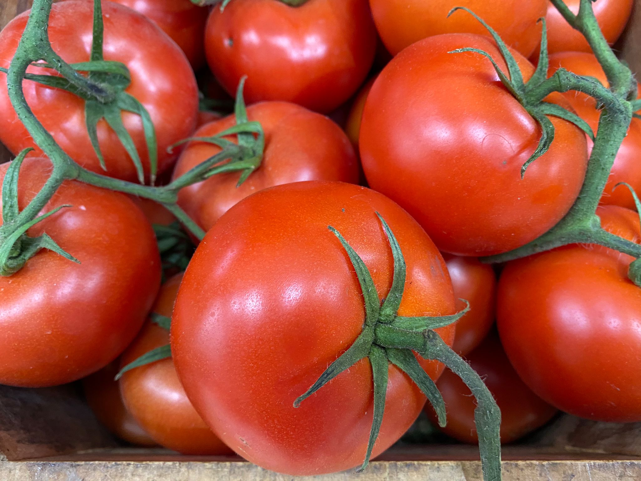 Gazpacho andaluz: receta paso a paso